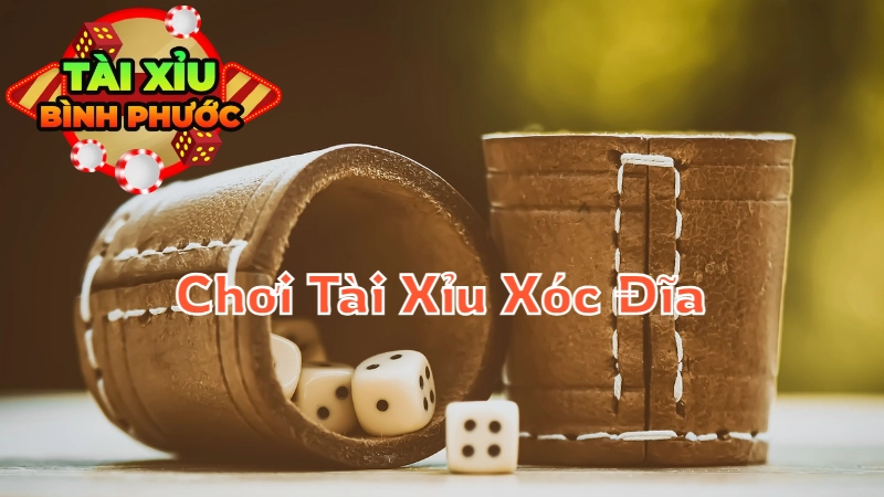 Cách Chơi Tài Xỉu Xóc Đĩa Dành Cho Người Mới Bắt Đầu