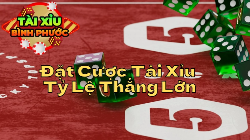 Cách Đặt Cược Tài Xỉu Với Tỷ Lệ Thắng Lớn Nhất Tại Bình Phước