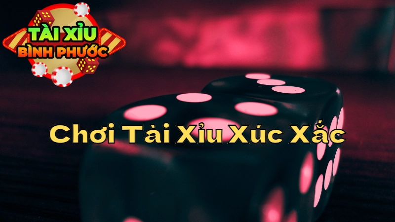 Mẹo Chơi Tài Xỉu Xúc Xắc Với Các Loại Cược Đặc Biệt